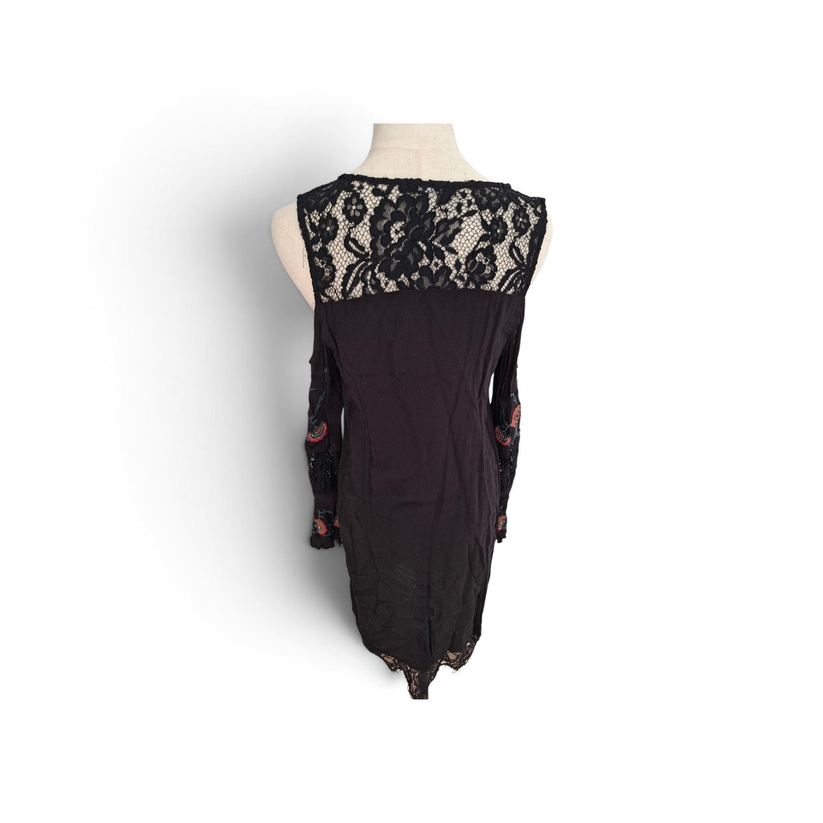 Sass Lace and Embroidered Dress