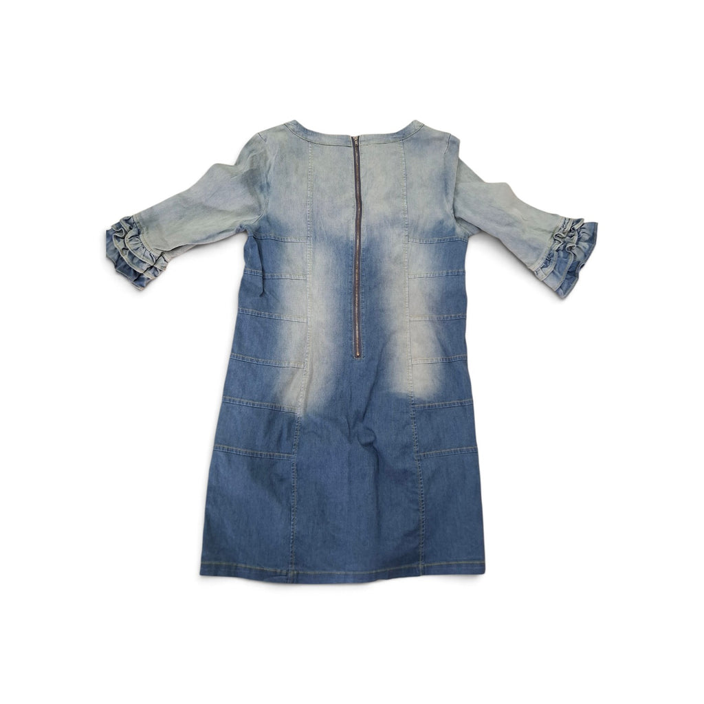 Zara Lady Denim distressed dress